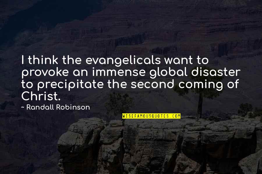 Christ's Second Coming Quotes By Randall Robinson: I think the evangelicals want to provoke an