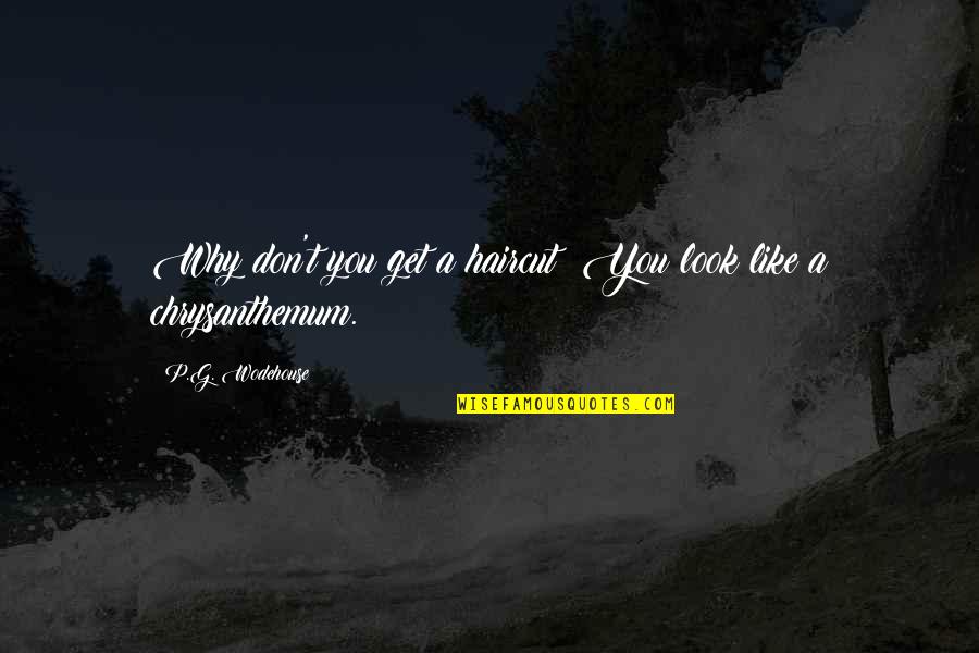 Chrysanthemum Quotes By P.G. Wodehouse: Why don't you get a haircut? You look