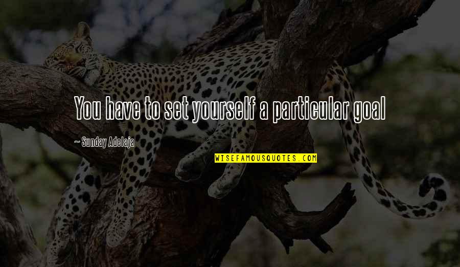 Chucking Attitude Quotes By Sunday Adelaja: You have to set yourself a particular goal