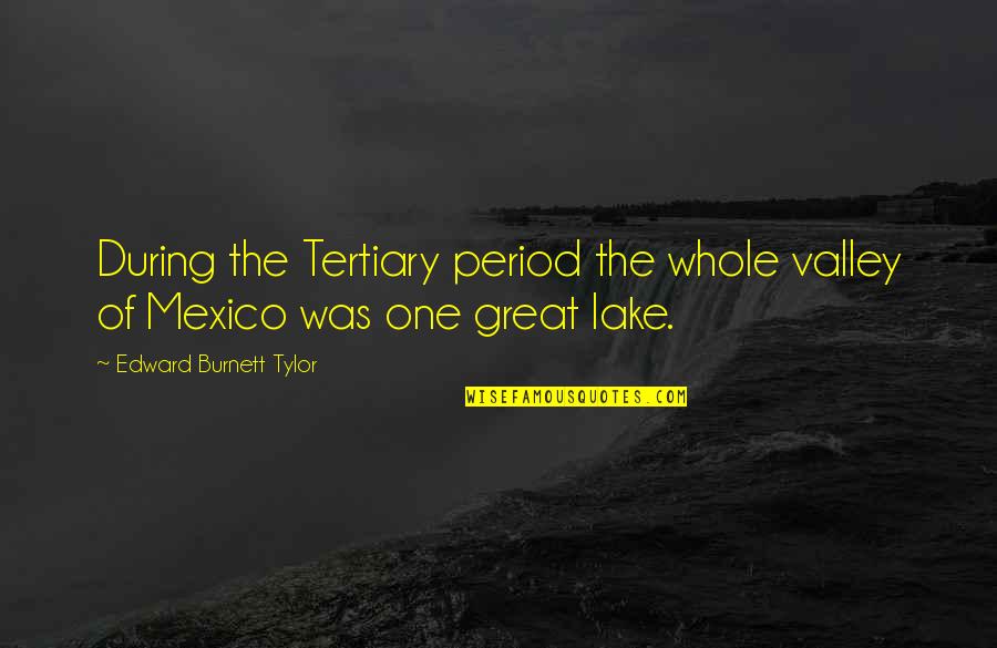 Chuveiro Eletronico Quotes By Edward Burnett Tylor: During the Tertiary period the whole valley of