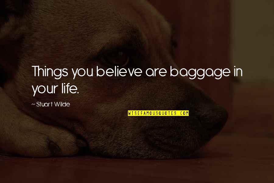 Cicel Tyson Quotes By Stuart Wilde: Things you believe are baggage in your life.