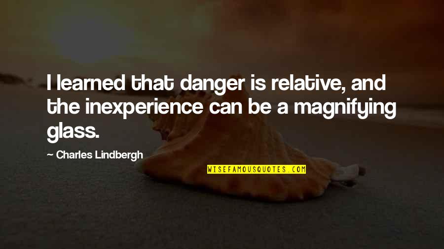 Cihly Ecoton Quotes By Charles Lindbergh: I learned that danger is relative, and the