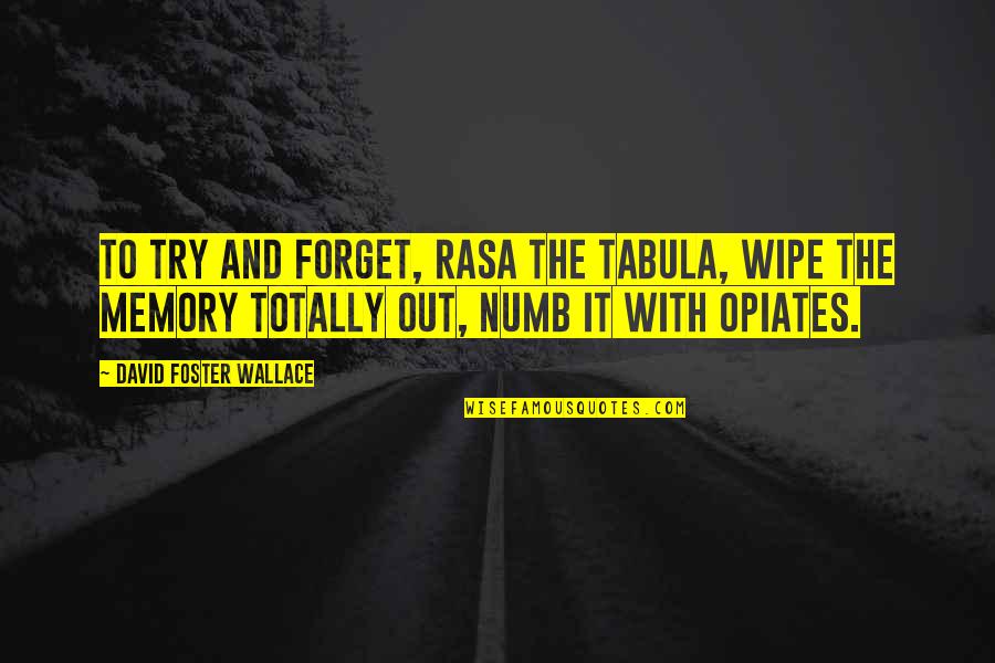 Cinzano Quotes By David Foster Wallace: To try and forget, rasa the tabula, wipe