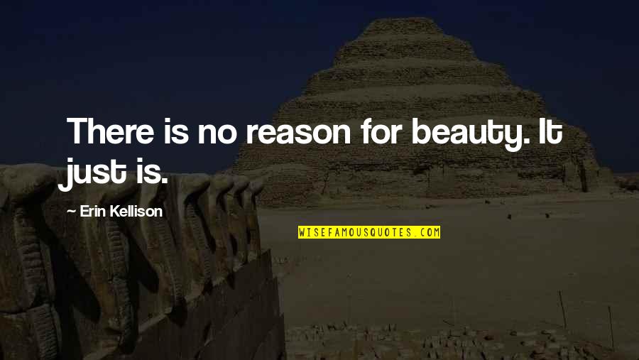 Ciolacu Vladimir Quotes By Erin Kellison: There is no reason for beauty. It just