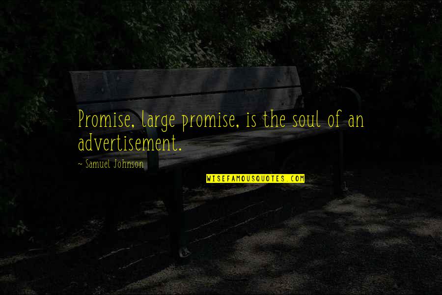 Circumcise Your Heart Quotes By Samuel Johnson: Promise, large promise, is the soul of an