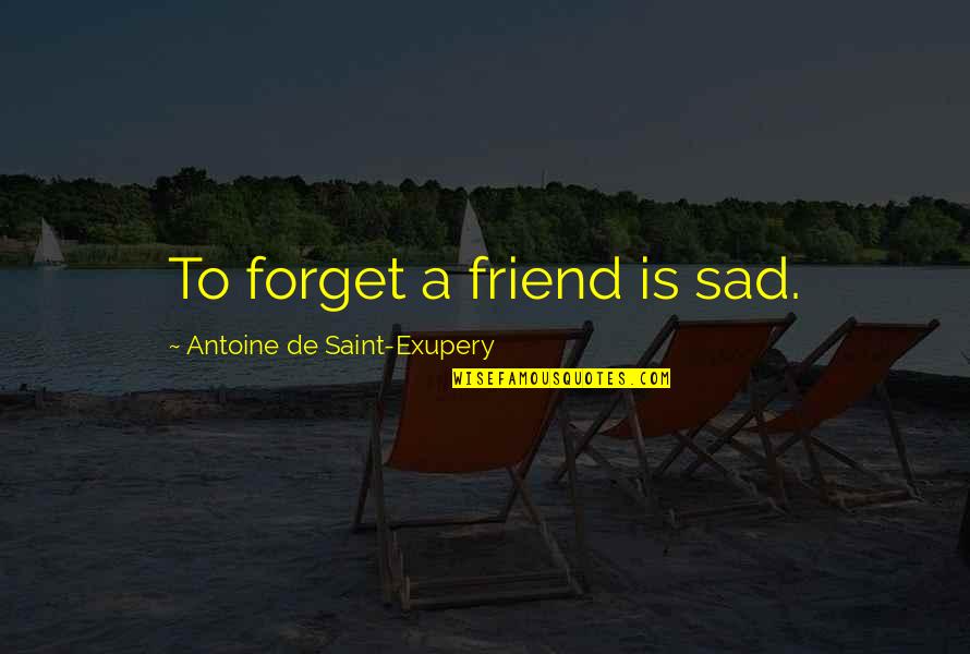 Civilizacijos Po Ymiai Quotes By Antoine De Saint-Exupery: To forget a friend is sad.