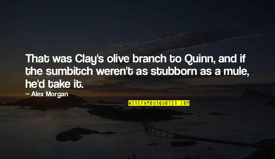 Clayton's Quotes By Alex Morgan: That was Clay's olive branch to Quinn, and