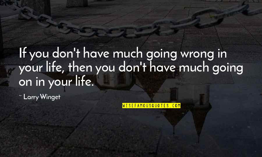 Clever Children Quotes By Larry Winget: If you don't have much going wrong in