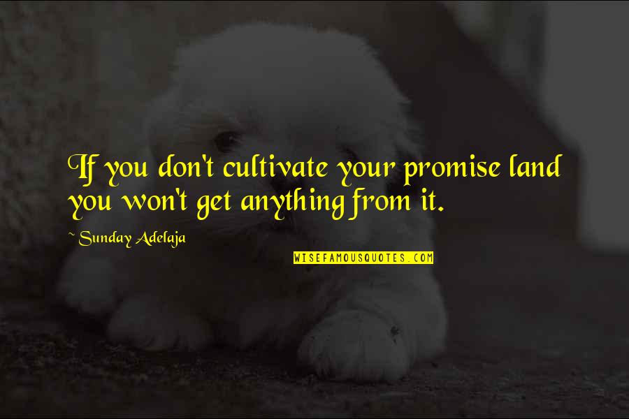 Clifton Strengths Quotes By Sunday Adelaja: If you don't cultivate your promise land you