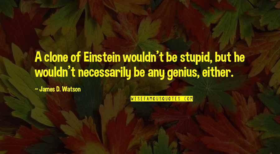 Clone Quotes By James D. Watson: A clone of Einstein wouldn't be stupid, but