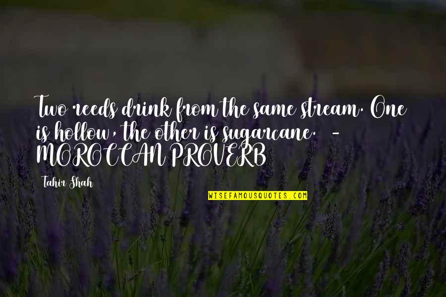 Cm Adr Real Time Quotes By Tahir Shah: Two reeds drink from the same stream. One