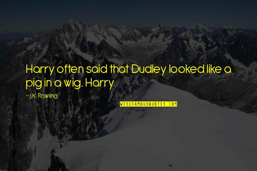 Cobaltstrike Quotes By J.K. Rowling: Harry often said that Dudley looked like a