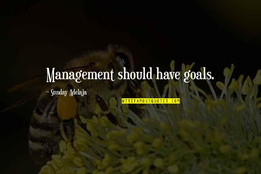 Cogo Capital Quotes By Sunday Adelaja: Management should have goals.