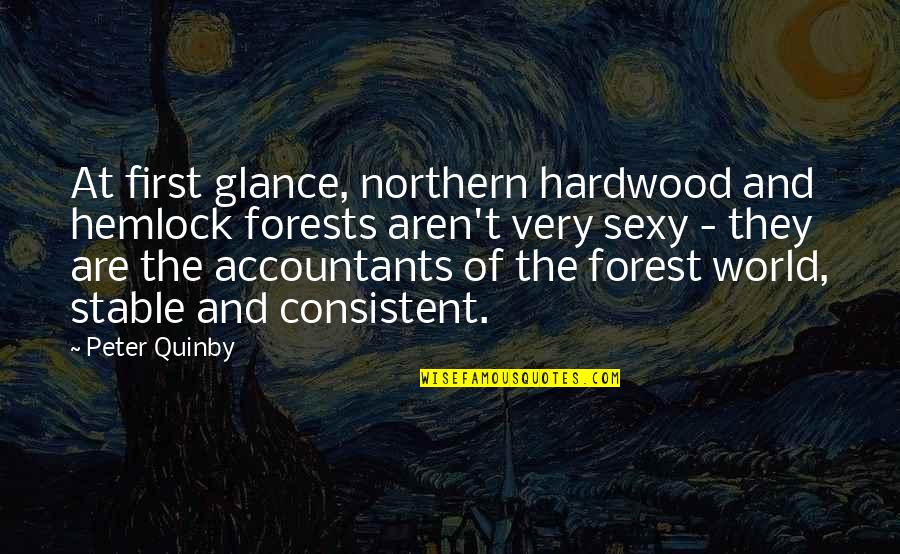 Colishia Benjamin S Quotes Quotes By Peter Quinby: At first glance, northern hardwood and hemlock forests