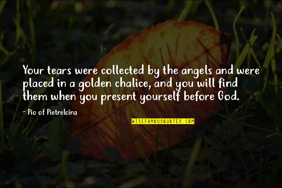 Collected Quotes By Pio Of Pietrelcina: Your tears were collected by the angels and