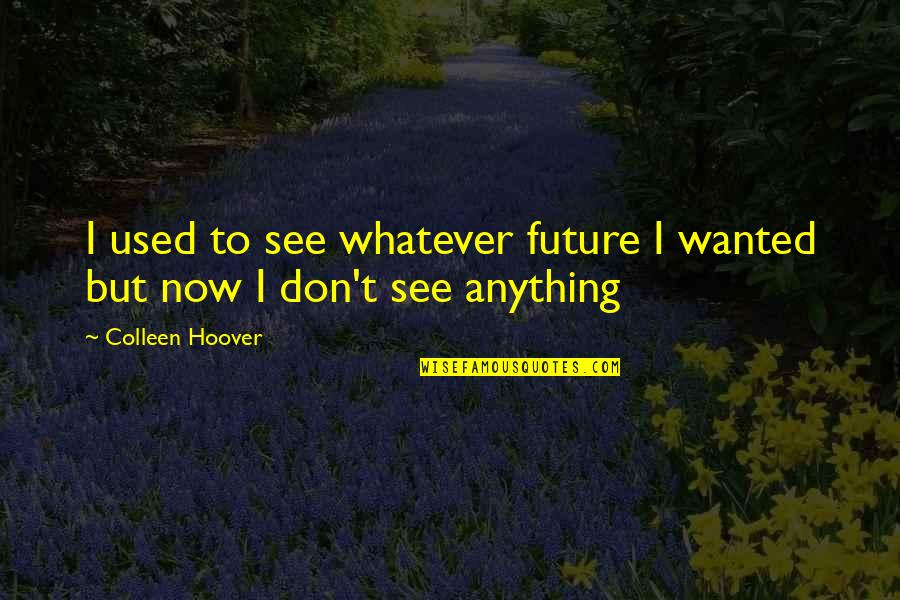 Colleen Quotes By Colleen Hoover: I used to see whatever future I wanted