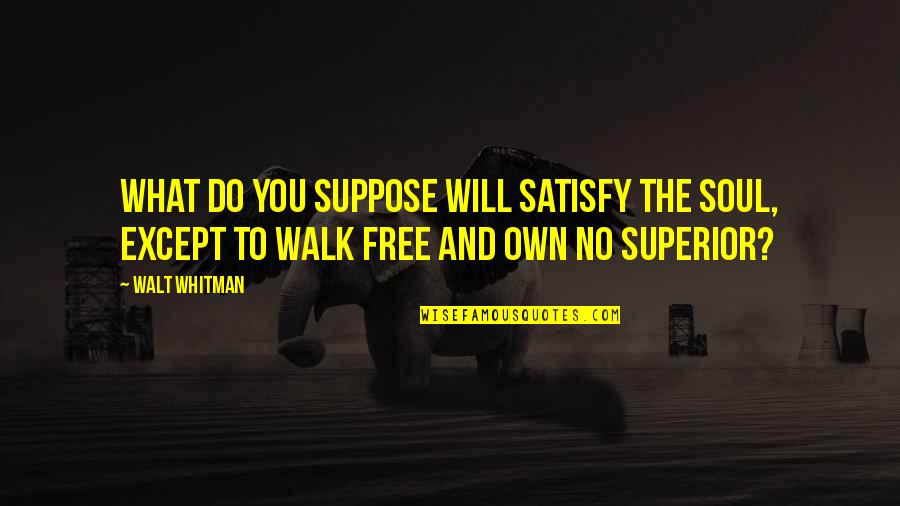 College And Finding Yourself Quotes By Walt Whitman: What do you suppose will satisfy the soul,