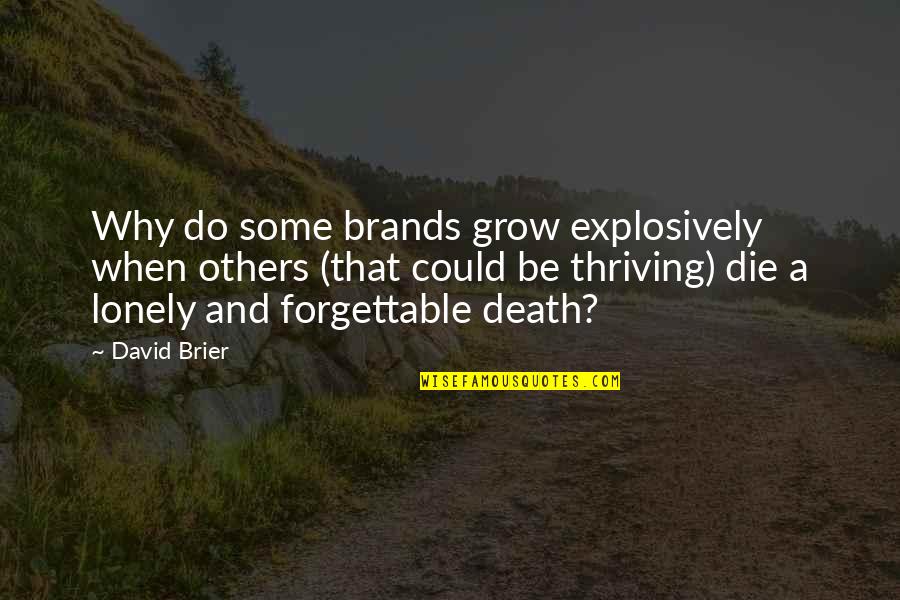 Colonello Hitman Quotes By David Brier: Why do some brands grow explosively when others