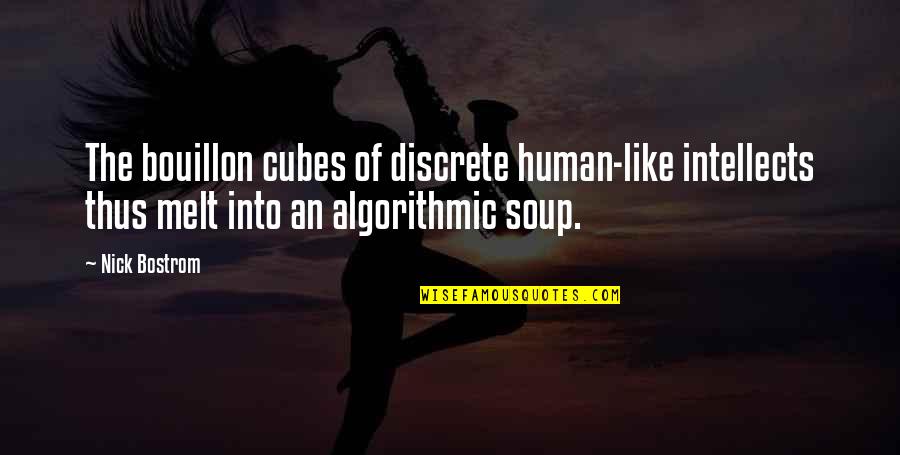 Combattants Daesh Quotes By Nick Bostrom: The bouillon cubes of discrete human-like intellects thus