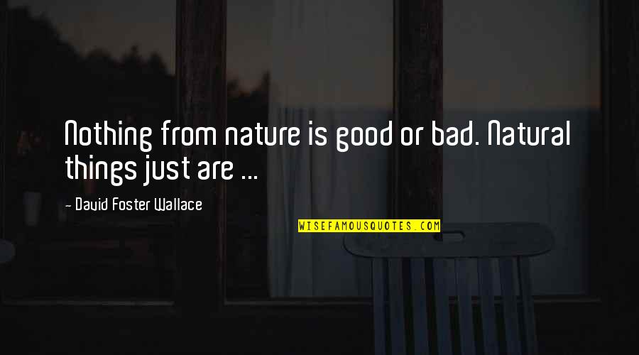 Come Celebrate Birthday Quotes By David Foster Wallace: Nothing from nature is good or bad. Natural