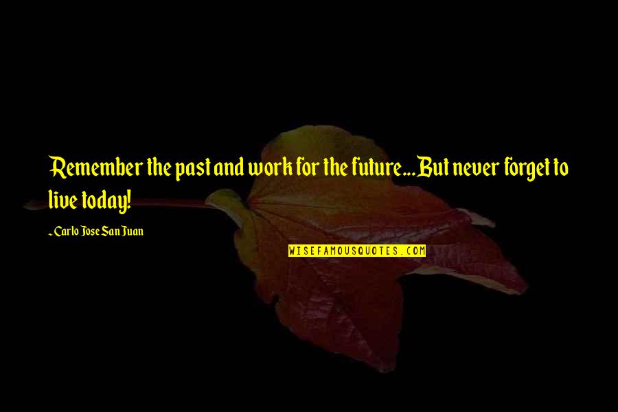 Comics Quotes By Carlo Jose San Juan: Remember the past and work for the future...But