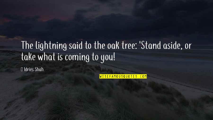 Coming To Life Quotes By Idries Shah: The lightning said to the oak tree: 'Stand