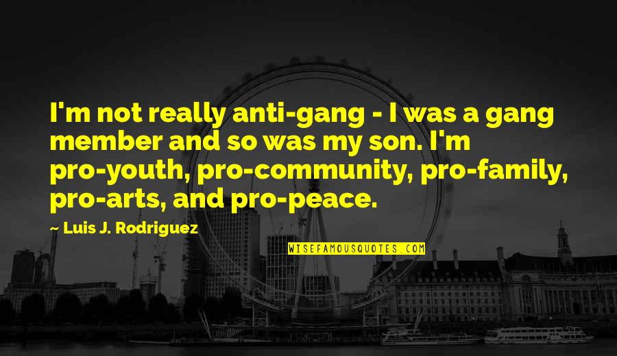 Community And Youth Quotes By Luis J. Rodriguez: I'm not really anti-gang - I was a