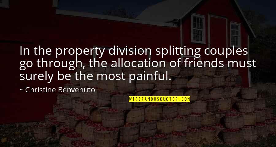 Community Learning Quotes By Christine Benvenuto: In the property division splitting couples go through,