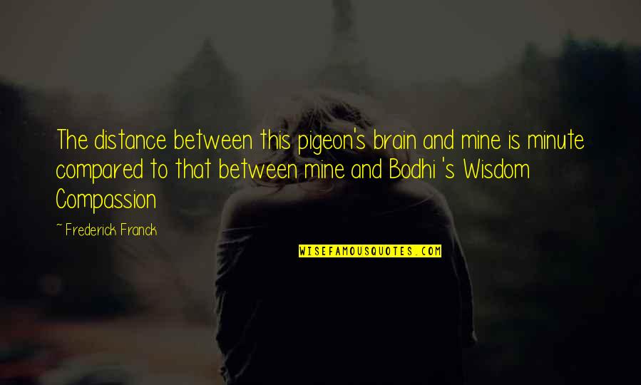 Compared To Quotes By Frederick Franck: The distance between this pigeon's brain and mine