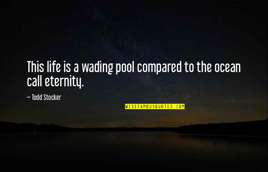 Compared To Quotes By Todd Stocker: This life is a wading pool compared to