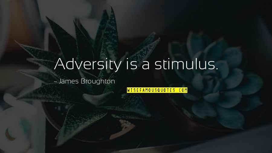 Comparetto Cube Quotes By James Broughton: Adversity is a stimulus.