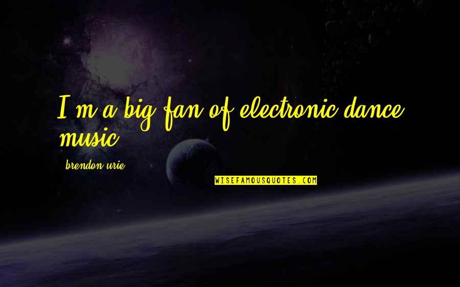 Comportamiento Organizacional Quotes By Brendon Urie: I'm a big fan of electronic dance music.