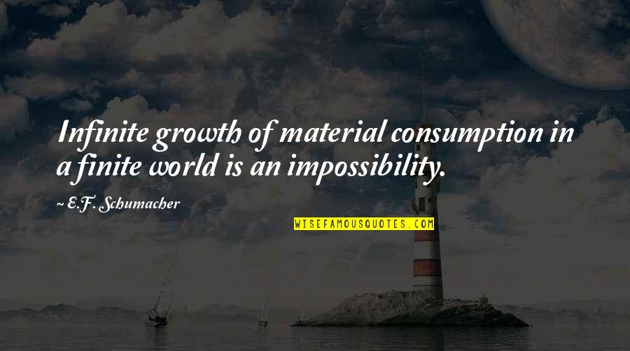 Comunicacion Definicion Quotes By E.F. Schumacher: Infinite growth of material consumption in a finite