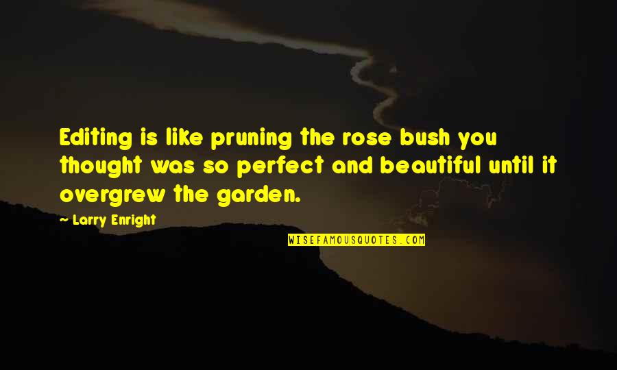 Concretas Definicion Quotes By Larry Enright: Editing is like pruning the rose bush you