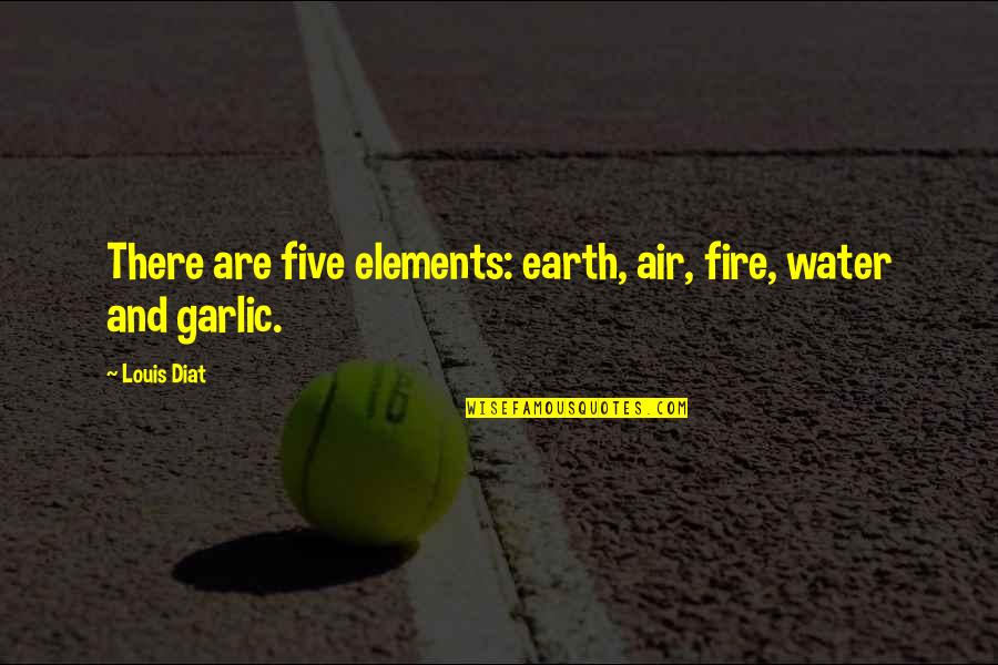 Concreteness Examples Quotes By Louis Diat: There are five elements: earth, air, fire, water