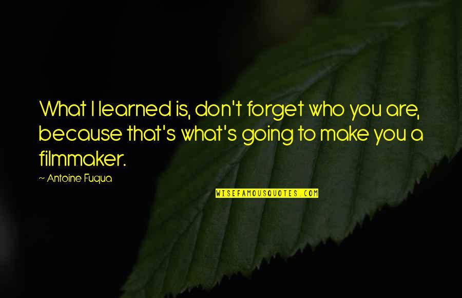 Concreteness In Counseling Quotes By Antoine Fuqua: What I learned is, don't forget who you