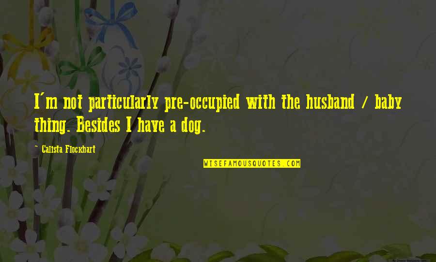 Conflict And Identity Quotes By Calista Flockhart: I'm not particularly pre-occupied with the husband /