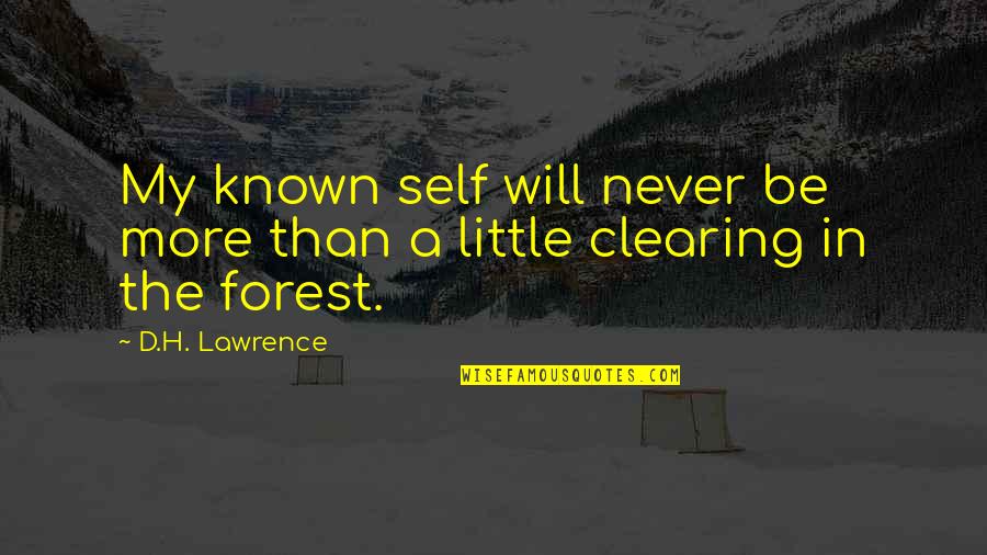 Congress Worksheet Answers Quotes By D.H. Lawrence: My known self will never be more than