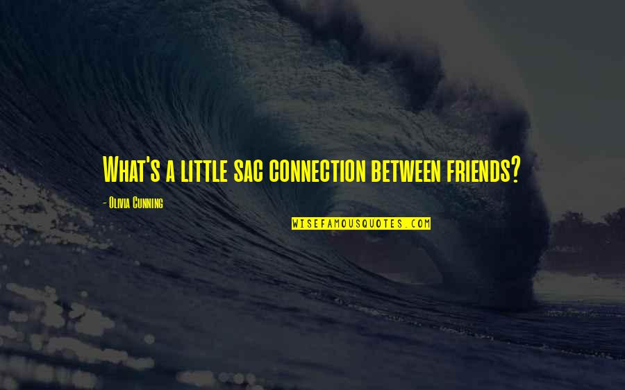 Connection Between Friends Quotes By Olivia Cunning: What's a little sac connection between friends?