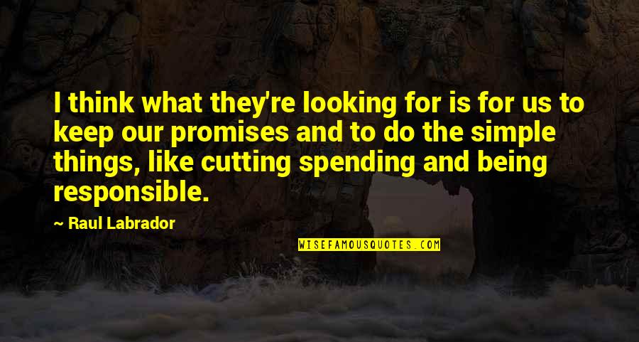 Conscientious Work Quotes By Raul Labrador: I think what they're looking for is for