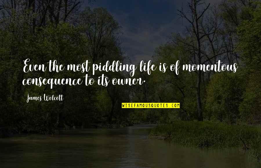 Consequence Of Quotes By James Wolcott: Even the most piddling life is of momentous