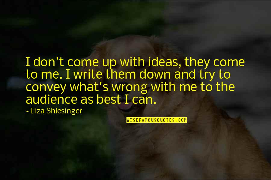 Constantinople Infidelity Quotes By Iliza Shlesinger: I don't come up with ideas, they come