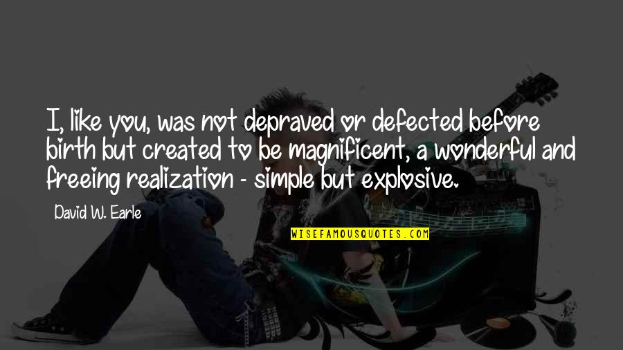 Contabilitate Bugetara Quotes By David W. Earle: I, like you, was not depraved or defected