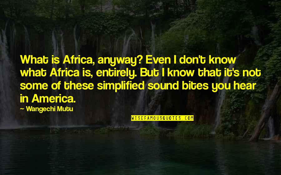 Contrepartie En Quotes By Wangechi Mutu: What is Africa, anyway? Even I don't know