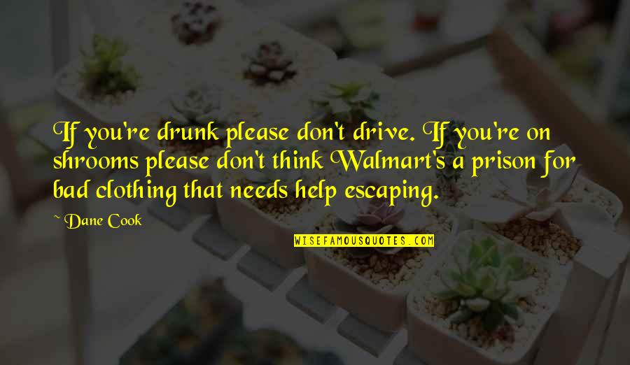 Cook That Quotes By Dane Cook: If you're drunk please don't drive. If you're