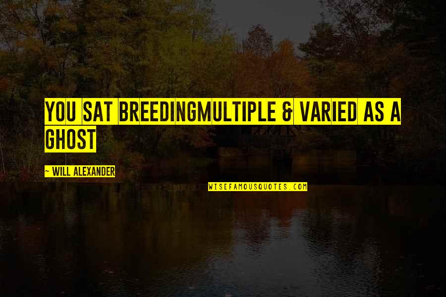 Coping With Loss Quotes By Will Alexander: you sat breedingmultiple & varied as a ghost