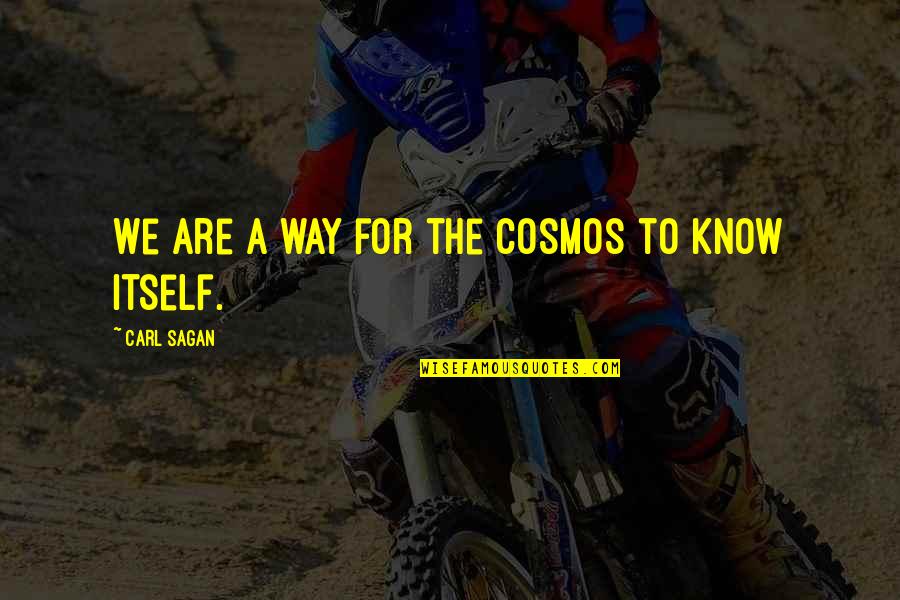 Cosmos Quotes By Carl Sagan: We are a way for the cosmos to