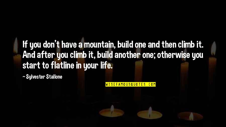 Costners Children Quotes By Sylvester Stallone: If you don't have a mountain, build one