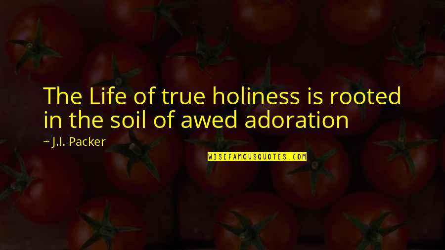 Cotorro Cacatua Quotes By J.I. Packer: The Life of true holiness is rooted in