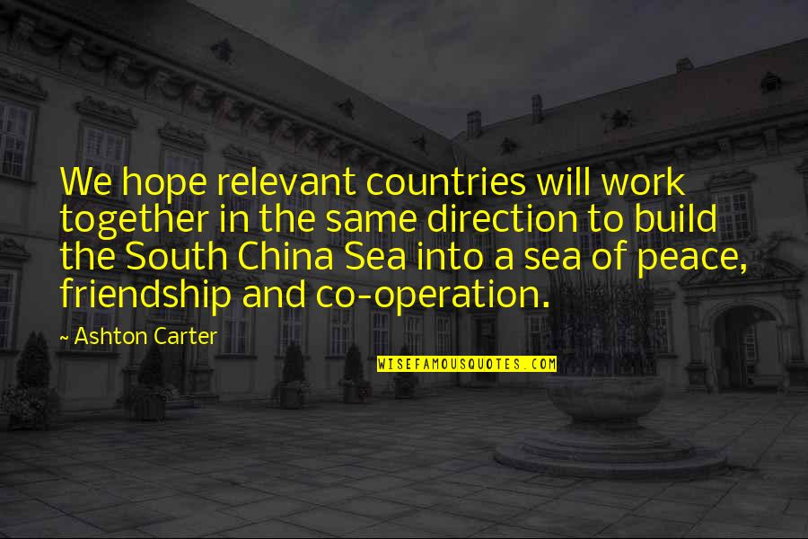 Countries Friendship Quotes By Ashton Carter: We hope relevant countries will work together in